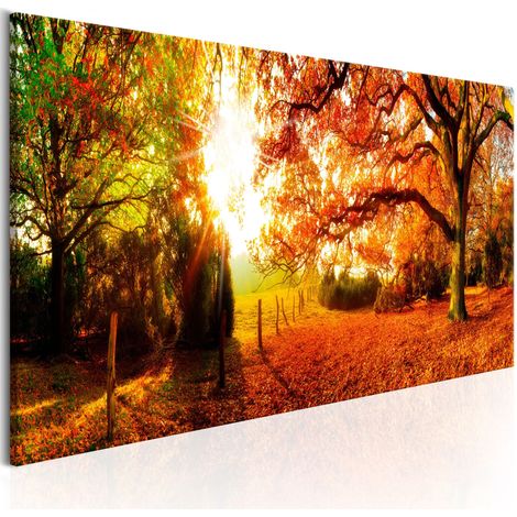 Quadro - Magic of Autumn - 150x50 (1/4)