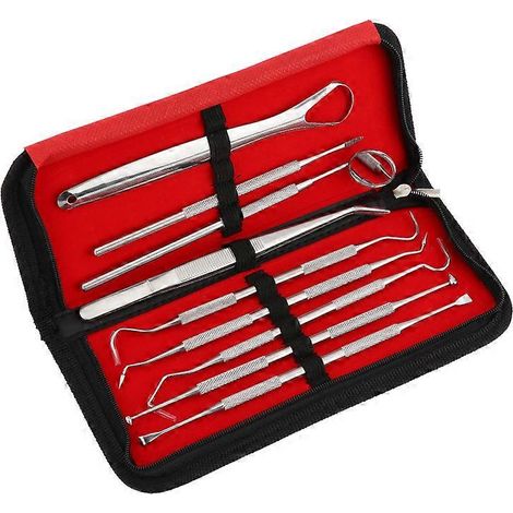Tandverzorgingsinstrumenten, 9-delig met etui, zilverkleurig. (1/4)