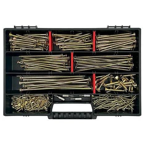Coffret de 295 vis à bois (3 x 25 mm à 6 x 140 mm) avec 4 embouts TX et boîte de rangement – qualité professionnelle pour la construction et l'assemblage du bois. (1/5)