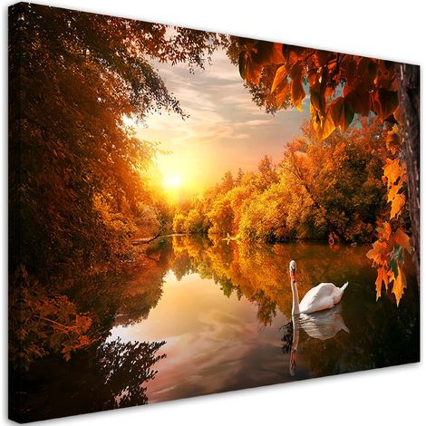 Quadro su tela, Cigno sullo stagno autunno - 100x70 (1/5)