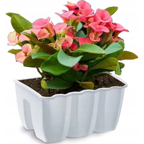 Prosperplast Blumenkasten CROWN Weiß 39,3 cm