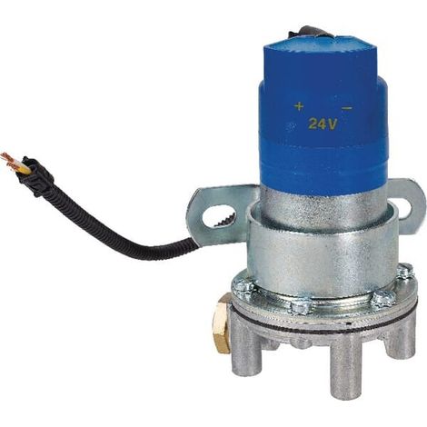 Kraftstoffpumpe 24V UNIVERSAL 100248V (1/2)