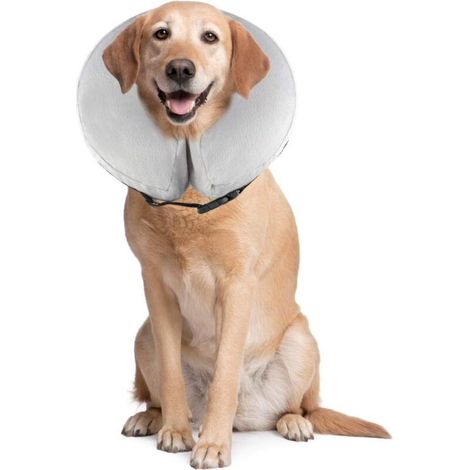 Bequemer, aufblasbarer Genesungskragen, Schutzkragen für Hunde und Katzen, verstellbar, waschbar, PS005 XL Grau (1/5)