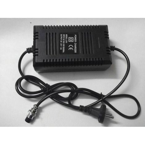 Chargeur de Batterie pour Scooter Électrique - 36V, 14AH, Adapté aux Scooters Électriques