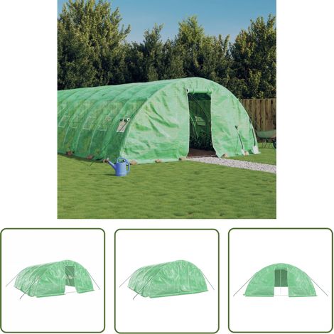 The Living Store Serre avec cadre en acier vert 30 m² 6x5x2,3 m - Serre De Jardin - Abri Jardin - Tunnel De Jardin - Serrez Verdure - Protection Plante (1/5)