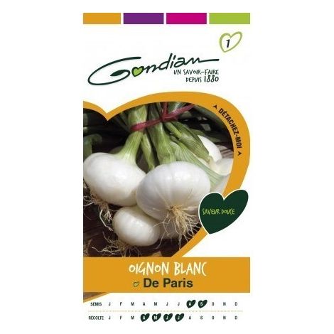 Gondian - Oignon Blanc de Paris