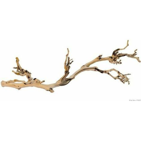 Exo-Terra Vinea Fuß Sablé Groß Natur 60 cm