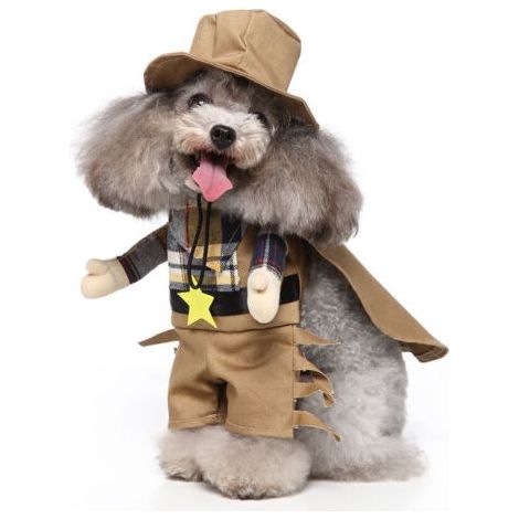 BUNTHAUS Chien Stand Up Vêtements pour chiens drôles Stand Up Dress Up（Cow-boy M） (1/5)