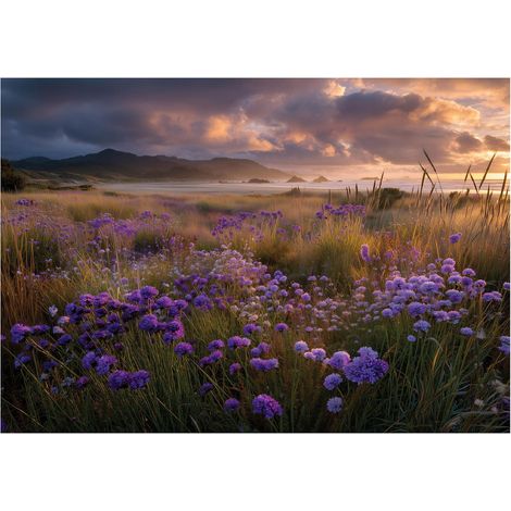Fototapete Blumen Feld Landschaft – Moderne Großformat Wandtapete 250x175 cm – Für Wohnzimmer & Schlafzimmer