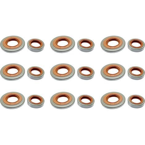 Set di 9 paraoli C·T·S compatibili con Sti hl TS700 TS800, sostituiscono i codici 9640-003-1745 e 9640-003-2257. (1/5)