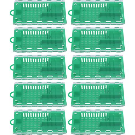 Cage pour transporte de reines d'abeilles (10 pièces) – Cage plastique transparente légère, idéale pour l'apiculture professionnelle ou amateur. (1/5)