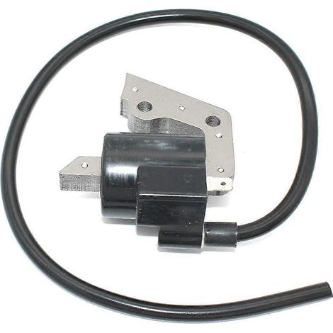 Module de bobine d'allumage pour moteur FA210 FA210D FA210R, pièces de rechange 21171-2167 005655 (1/5)