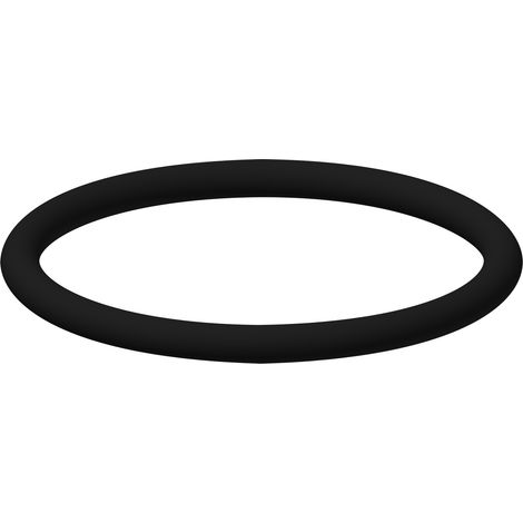 KWC joint torique, 22x2mm, 2000104616 (1/2)