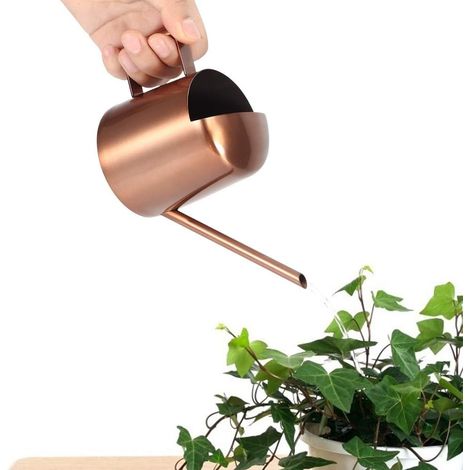 300ML Solid Watering Can Small Stainless Steel Watering Can Plant Flower Long Spout Watering Pot for Home Use (1/5)