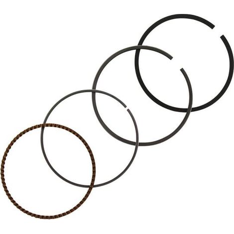 Kit de segments BRIGGS ET STRATTON 843793