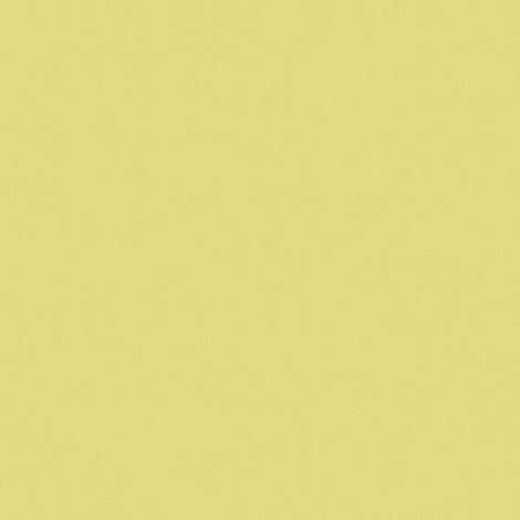 BRICOFLOR Papier peint uni Papier peint intissé Vert - Papier peint Uni - 10,05 x 0,53 m (1/4)