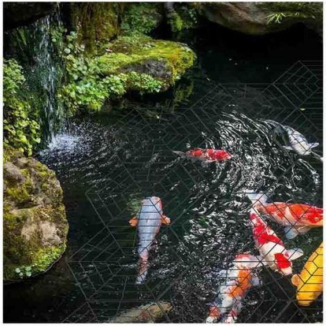 Packung mit 20 schwimmenden Kunststoff-Reiherschutzgittern für Teiche. (1/5)