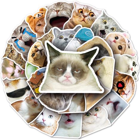 Niedliche Katzen, 50 Emoticon-Sticker, DIY-Notizbuch-Wasserbecher, große Buchsticker, Station (1/5)