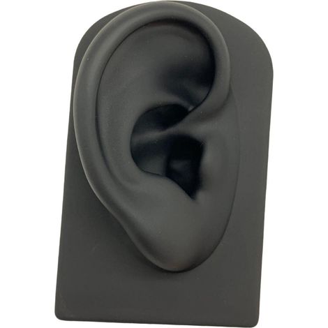 Modèle D'oreille, Oreille Modèle Prop Oreille Outil Piercing Exercice Boucle D'oreille Outil D'affichage de Goujon D'oreille, pour Outils Pédagogiques Affichage Bijoux Boucles D'oreilles , Le noir (1/5)