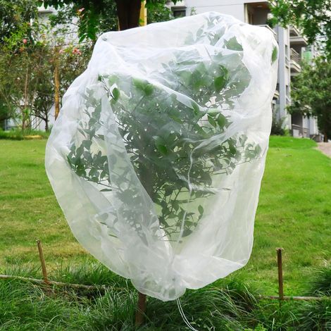 Filet Arbre fruitier, 195x175cm Filet Protection Oiseaux avec Cordon, pour myrtilles, Fraises, légumes (1/5)