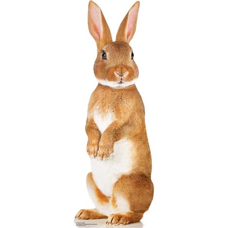 Figurine en carton  lapin marron sur deux pattes H 90 cm (1/4)