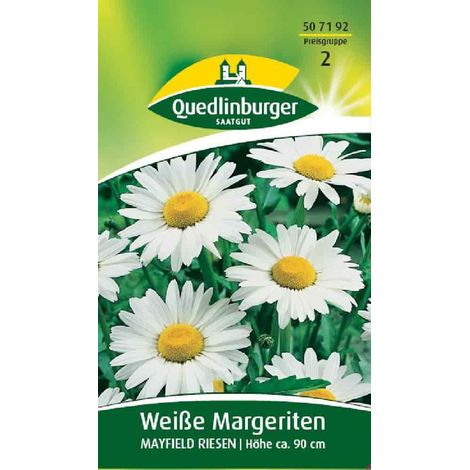 Quedlinburger Weiße Margeriten Mayfield Riesen - Blumensamen (1/2)