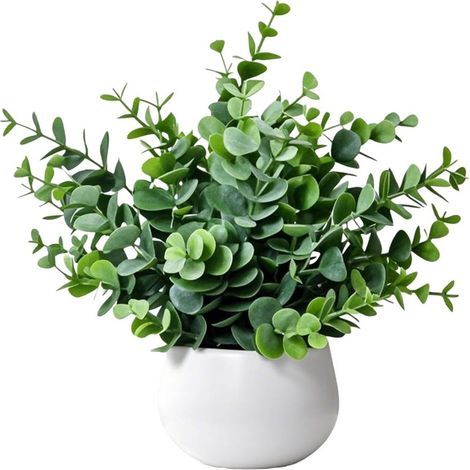 Mini plante artificielle Eucalyptus – Pot blanc, style moderne pour décoration intérieure et extérieure (1/5)