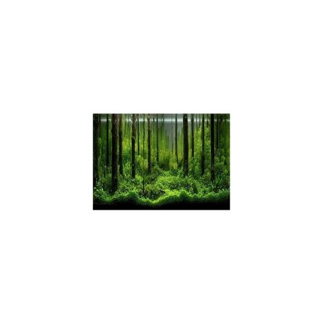 Papier décoratif adhésif PVC pour fond de réservoir de forêt sous-marine (6141cm) (1/5)