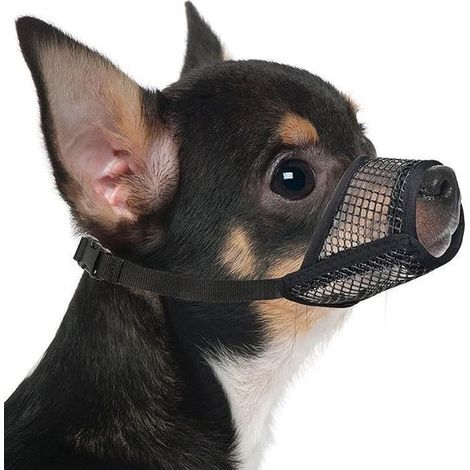 Museruola nera in morbida rete, taglia XS, adatta a cani di piccola, media e grande taglia come Chihuahua, barboncini, husky e labrador. (1/4)
