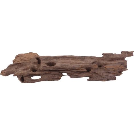M Honey Comb Wurzel Nr.3767 Holz Deko Aquascaping
