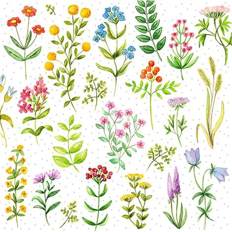 Braun & Company Servietten bunt 33 x 33 cm 20er Pack Papierserviette