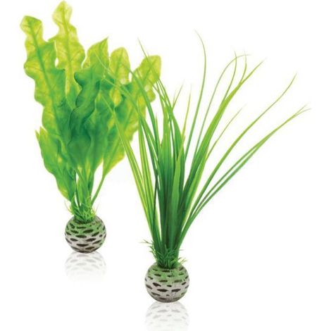 OASE 46055 biOrb Pflanzen Set S grün