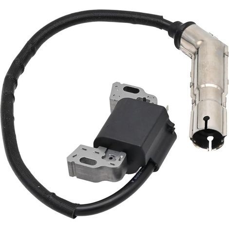 Zündspulen-Magnetanker-Ersatz für Briggs & Stratton Motoren 592841 799650 595304 795315 21A807 21A877 21A902 21A907 21A907 21A907 (1/5)