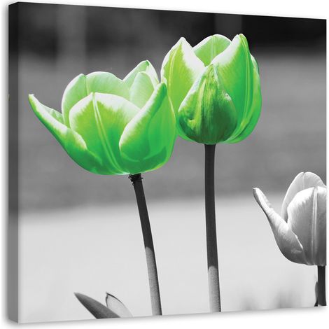 Tableau sur toile Tulipes Fleurs Vertes 40x40 (1/5)