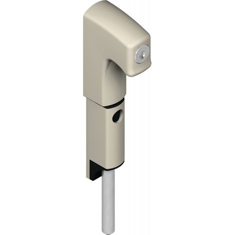 Verrou en applique DANAOS DS 6371 à tête canne avec barillet longueur 167 mm gris RAL 9006 - LA CROISEE DS (1/2)