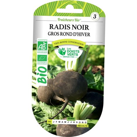 Graines de radis noir gros rond d'hiver BIO Les Doigts Verts