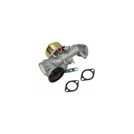 Carburateur pour moteurs Briggs & Stratton 12CV – Performance optimisée – Inclus joints et kit nettoyage – Modèles compatibles 491026/281707/491031 (1/5)