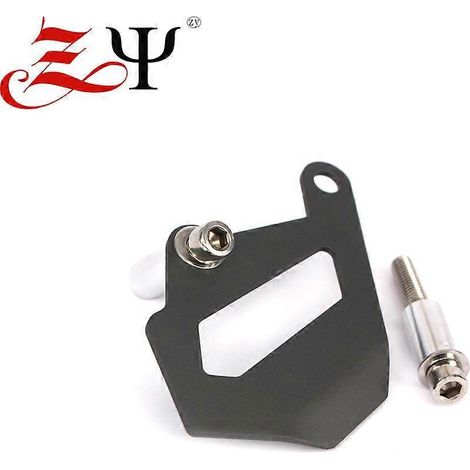 Compatible avec BMW R1200GS, R1250GS, Advance et Waterbird : cache-pompe de frein arrière, protection d'étrier arrière – Titane (1/4)