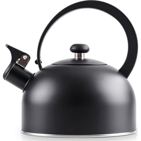 Elegant Kettle in Matt Black Stainless Steel (1/5)