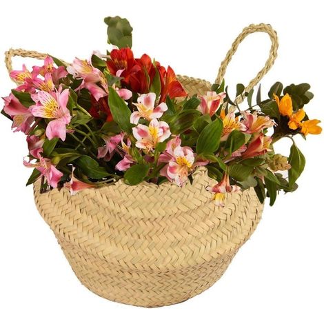 Cesta de Mimbre Cubremaceta – Canasta Multiusos Decorativa para Plantas y Almacenaje  Mediana - (1/5)