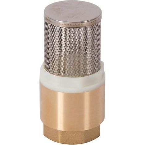 kit De Filtre D'aspiration, 3/4", Messing, Clapet De Pied Avec Clapet Anti-retour (1/5)