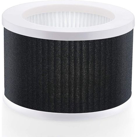 Lntyq Filtre de remplacement True HEPA EPI810, compatible uniquement avec l'ancienne version MEGAWISE (non compatible avec la version mise à jour 2022), purificateur d'air True HEPA KOIOS et MOOKA EPI (1/4)