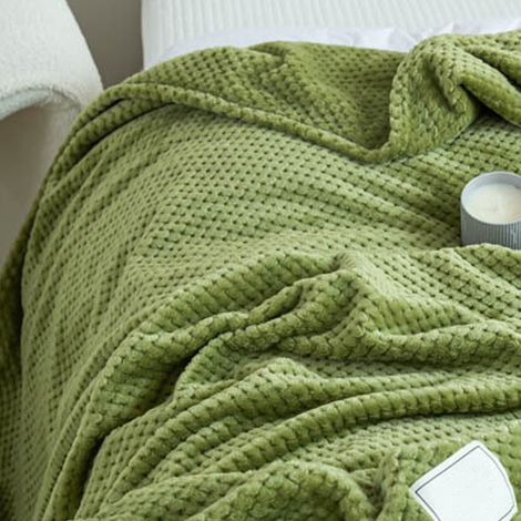 Couverture moelleuse en laine polaire jacquard ananas, vert avocat 100x120cm, texture douce pour chat, plaids canapé sieste climatisée, unisexe. (1/3)