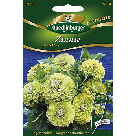Quedlinburger Zinnie Green Envy - Blumensamen