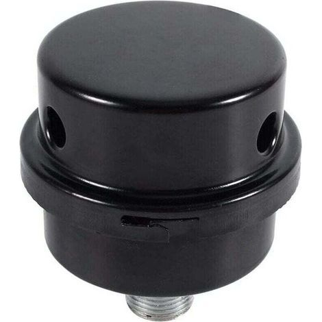 Filtre silencieux pour compresseur d'air (filetage 3/8" 16 mm) (1/5)