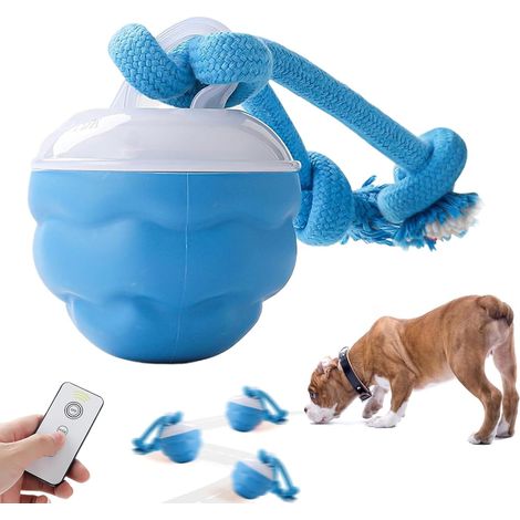 Balle Interactive Électrique Roulante pour Chien - Balle de Jeu Automatique (1/5)