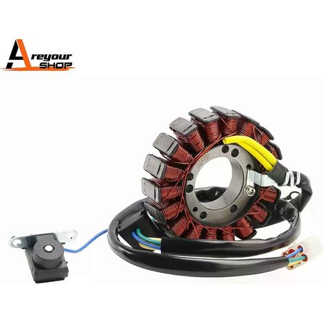 Appliquer l'ALTERNATEUR STATOR AEO-3112039A-000 POUR AEON COBRA 220 / 300 / 320 CROSSLAND 300 (1/5)
