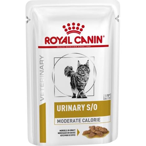 ROYAL CANIN GATTO URINARY S/O MODERATE CALORIE BUSTINE 12X85 GR
