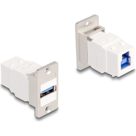 Delock MÃ³dulo Keystone para montaje en panel USB 5 Gbps de Tipo-A hembra a USB de Tipo-B hembra cÃ³nico