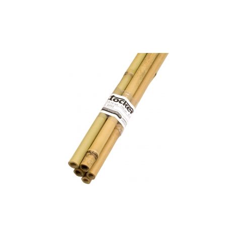 STOCKER Reggipiante in bambù 180 cm